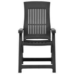 VidaXL Tuinstoelen 2 St Verstelbaar Kunststof Antracietkleurig -Zon Bloei Verkoopwinkel 1000006375 0102