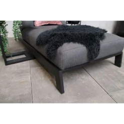 Fonteyn - Ligbed Bite - Sooty -Zon Bloei Verkoopwinkel 1000073086 0103