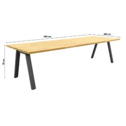 Taste Ambassador Tuintafel - 300x100 Cm -Zon Bloei Verkoopwinkel 1000084624 0101