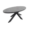 VDG Silva Ovale Tuintafel - 240 X 115 Cm