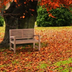 CLP Teakbank Halden 120 Cm -Zon Bloei Verkoopwinkel 1000095889 0103